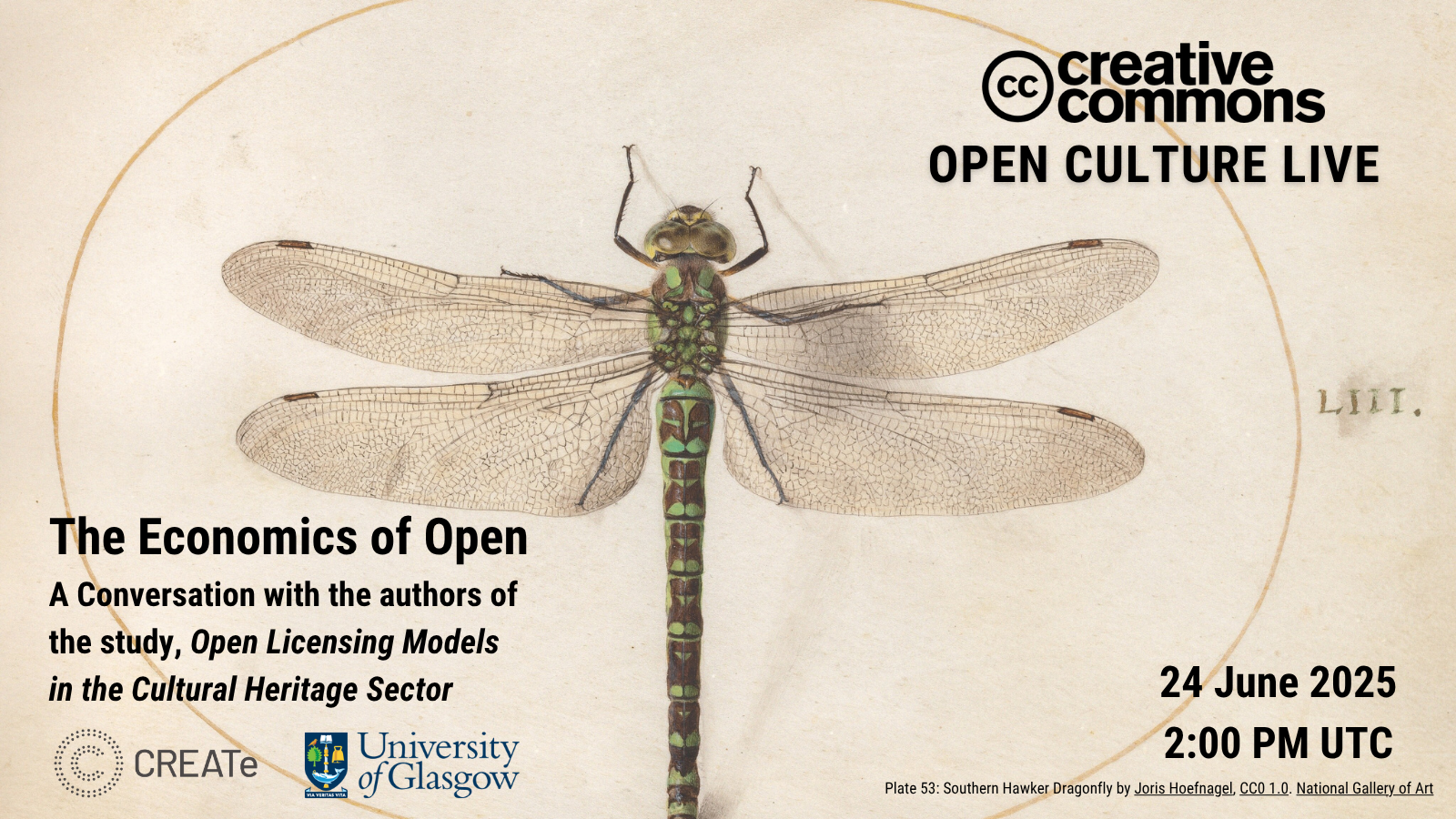 Plate 53: Southern Hawker Dragonfly by Joris Hoefnagel, CC0 1.0. National Gallery of Art