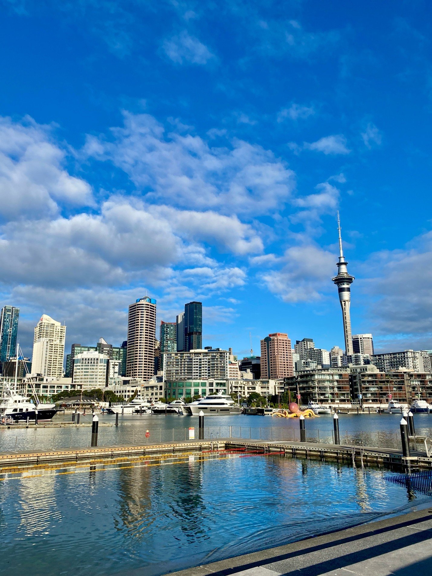 Picture of Auckland Viaduct Harbour