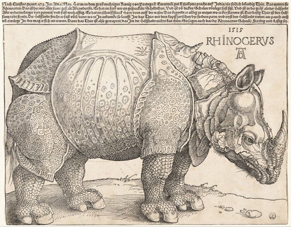 Image of 'The Rhinoceros' by Albrecht Dürer (1515).